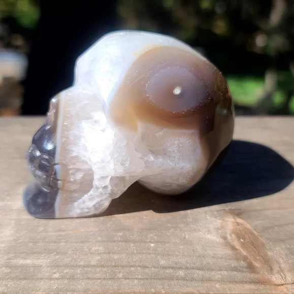 INCREDIBLE Smokey Quartz handcarved drutzy Agate Skull sz medium - Picture 8 of 10